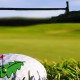 Federación de Golf de Bizkaia.