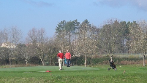Pitch & Putt Derio.